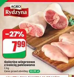 Dino Golonka z kością Agro Rydzyna oferta