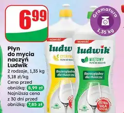 Dino Płyn do mycia naczyń miętowy Ludwik oferta