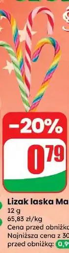 Dino Lizak laska Maxco oferta