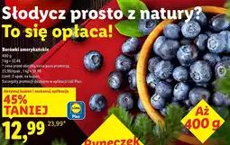 Lidl Borówki amerykańskie Lidl oferta
