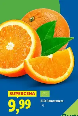 Lidl Pomarańcze BIO Lidl oferta