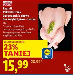 Lidl Polski kurczak gospodarski z chowu bez antybiotyków - tuszka Rzeźnik oferta