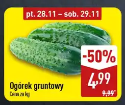 ALDI Ogórek gruntowy Aldi oferta