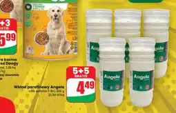 Dino Wkład parafinowy Angela oferta