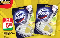 Dino Kostka wc Domestos oferta