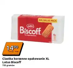 Action Ciastka Lotus oferta