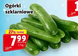 Prim Market Ogórki oferta