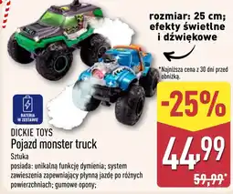 ALDI Pojazd Dickies oferta