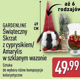 ALDI Skrzat Gardenline oferta