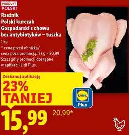 Lidl Kurczak Rzeźnik oferta