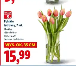 Lidl Bukiet tulipanów Polskie kwiaty oferta