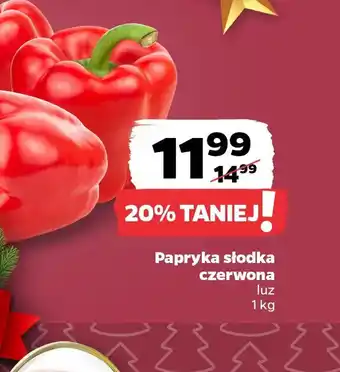 Papryka słodka