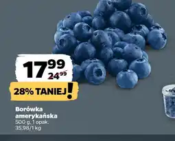 Netto Borówka oferta