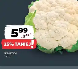 Netto Kalafior oferta