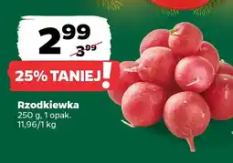 Netto Rzodkiewka oferta