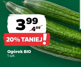 Netto Ogórek oferta