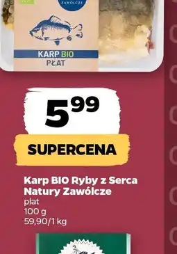 Netto Karp BIO Ryby z Serca Natury Zawólcze oferta