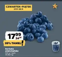 Netto Borówka amerykańska oferta