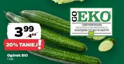 Netto Ogórek bio oferta