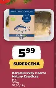 Netto Karp płat ze skórą Zawólcze oferta