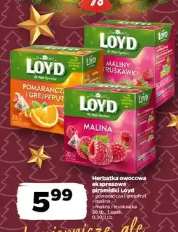 Netto Herbata malinowa Loyd Tea The Magic Experience oferta