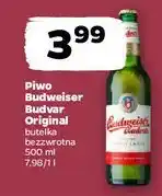 Netto Piwo Budweiser oferta