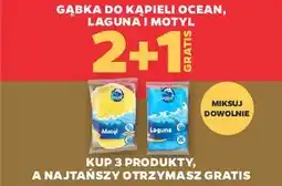 Netto Gąbka do kąpieli motyl Ocean oferta