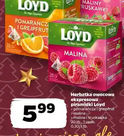 Netto Herbatka owocowa ekspresowa piramidki Loyd oferta