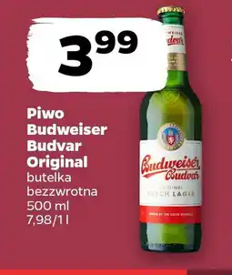 Netto Piwo Budweiser Budvar oferta