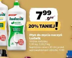 Netto Płyn do mycia naczyń Ludwik oferta