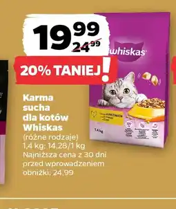 Netto Karma sucha dla kotów Whiskas oferta