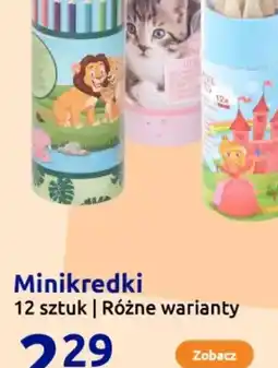 Action Minikredki oferta