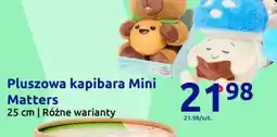 Action Pluszowa kapibara Mini Matters oferta