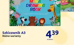 Action Szkicownik A3 oferta