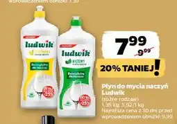 Netto Płyn do mycia naczyń cytrynowy Ludwik oferta