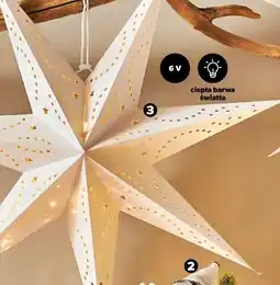 Netto Gwiazda papierowa 20 LED oferta