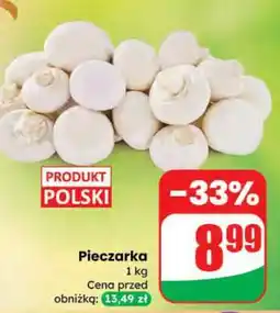 Dino Pieczarka oferta