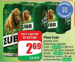 Dino Piwo ŻUBR oferta