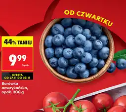 Biedronka Borówka amerykańska opak. 300 g oferta
