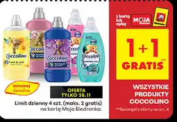 Biedronka Wszystkie produkty Cocolino oferta