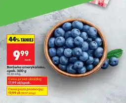 Biedronka Borówka amerykańska, opak. 300g oferta