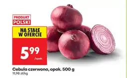 Biedronka Cebula czerwona, opak. 500 g oferta