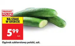 Biedronka Ogórek szklarniowy polski, szt oferta