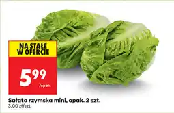 Biedronka Sałata rzymska mini, opak. 2 szt oferta