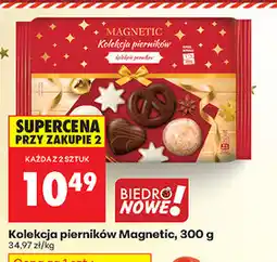 Biedronka Kolekcja pierników Magnetic oferta