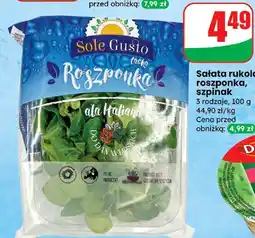 Dino Sałata rukola Sole Gusto oferta