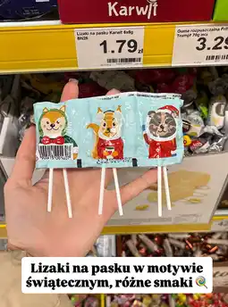 Dino Lizaki na pasku różne smaki Karwit oferta