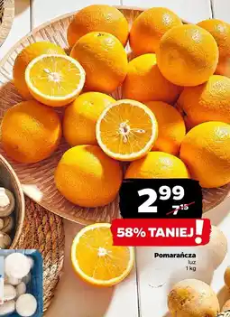 Netto Pomarańcza Netto oferta