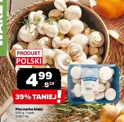 Netto Pieczarka biała Netto oferta