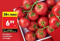 Biedronka Pomidory na gałązce na wagę Biedronka oferta